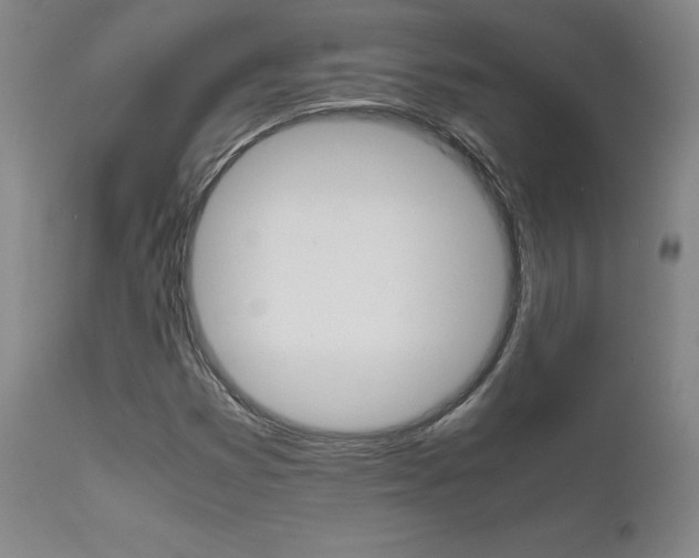 X0000111631353200907171118