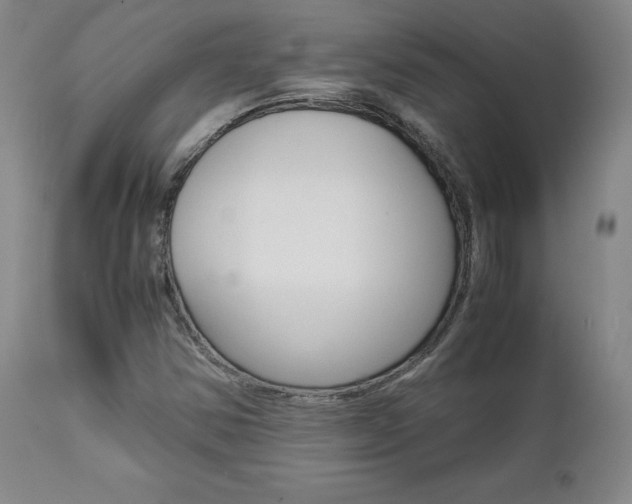 X0000111631354200907171118