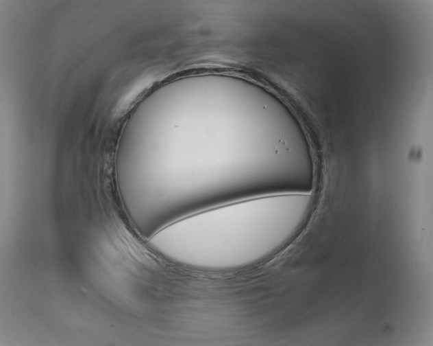 X0000111631355200907171118