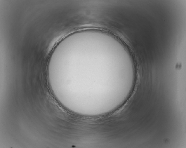 X0000111631357200907171118