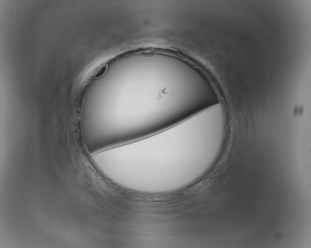 X0000111631359200907171118
