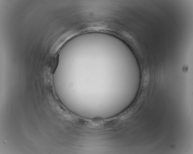 X0000111631361200907171118