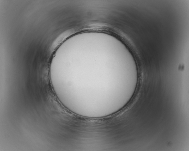 X0000111631362200907171118