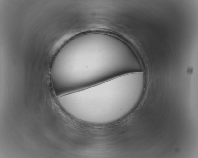 X0000111631363200907171118