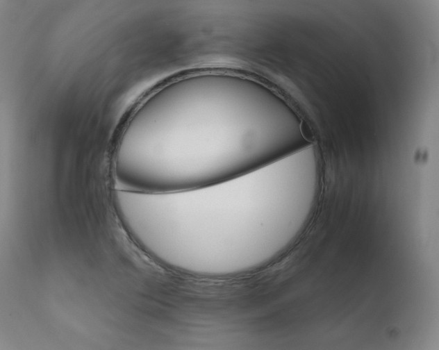 X0000111631364200907171118