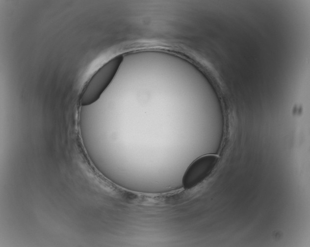 X0000111631365200907171118