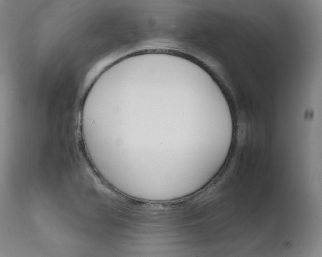 X0000111631366200907171118
