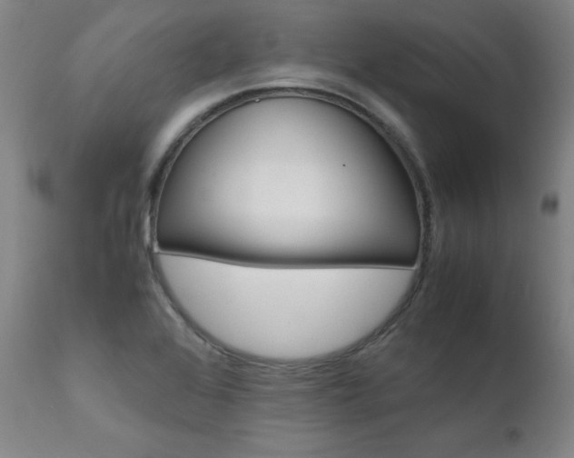 X0000111631368200907171118