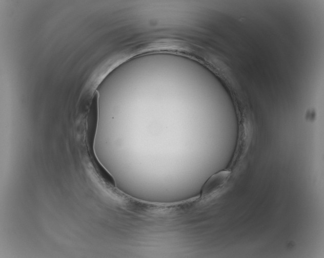 X0000111631369200907171118