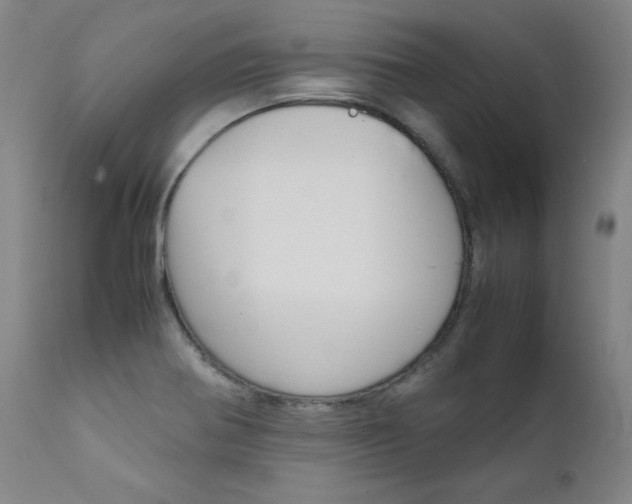X0000111631370200907171118