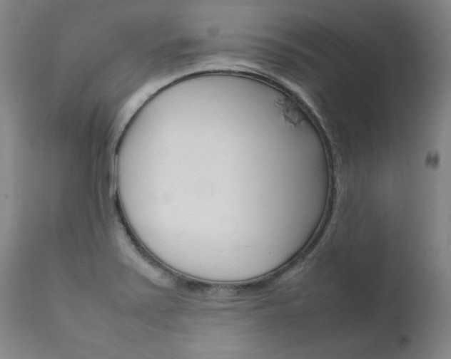 X0000111631371200907171118