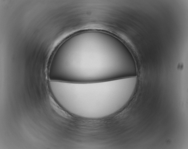 X0000111631372200907171118