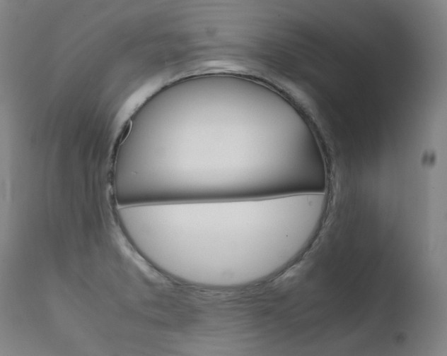 X0000111631373200907171118