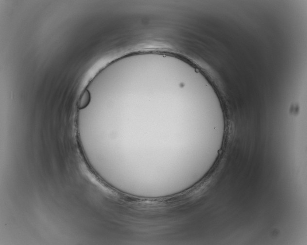 X0000111631374200907171118