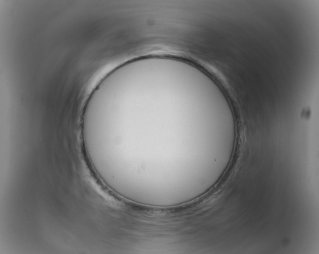 X0000111631375200907171118
