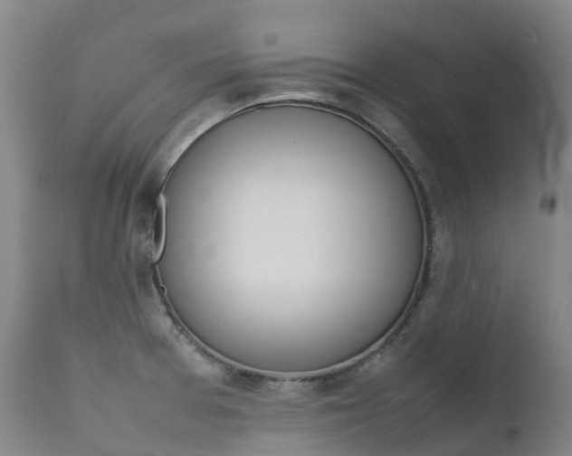 X0000111631377200907171118