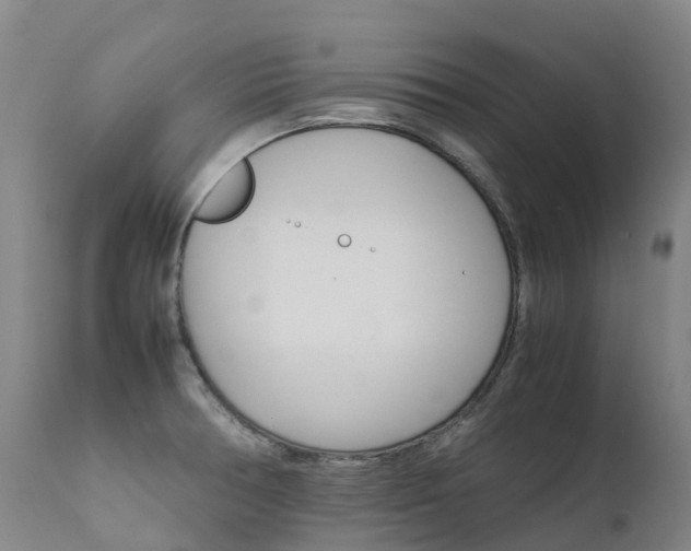 X0000111631378200907171118
