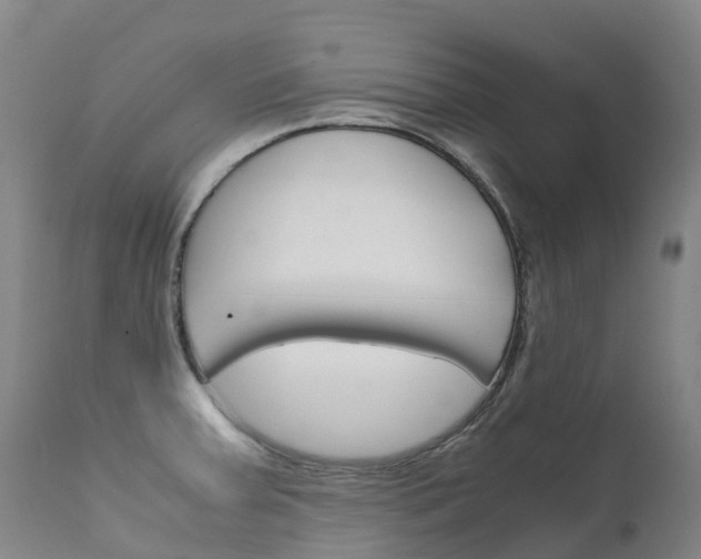 X0000111631379200907171118