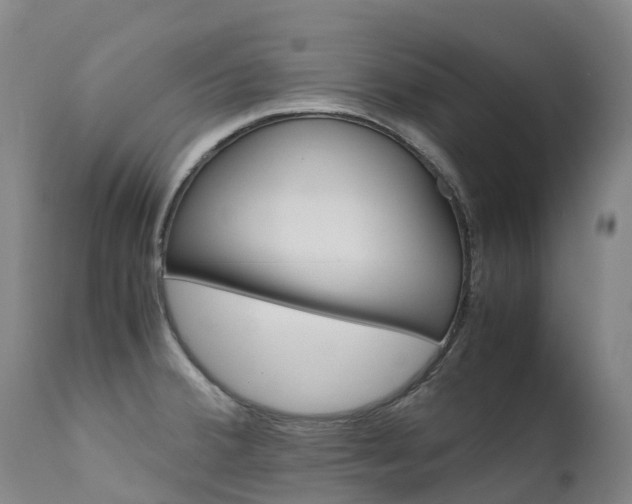 X0000111631380200907171118