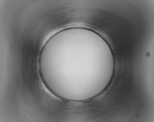 X0000111631382200907171118