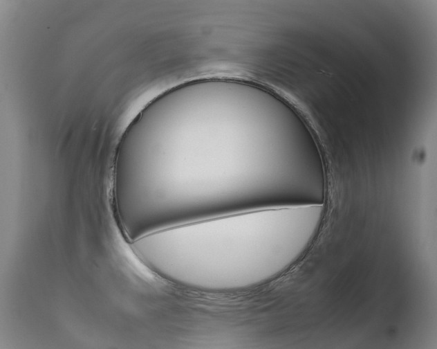 X0000111631383200907171118