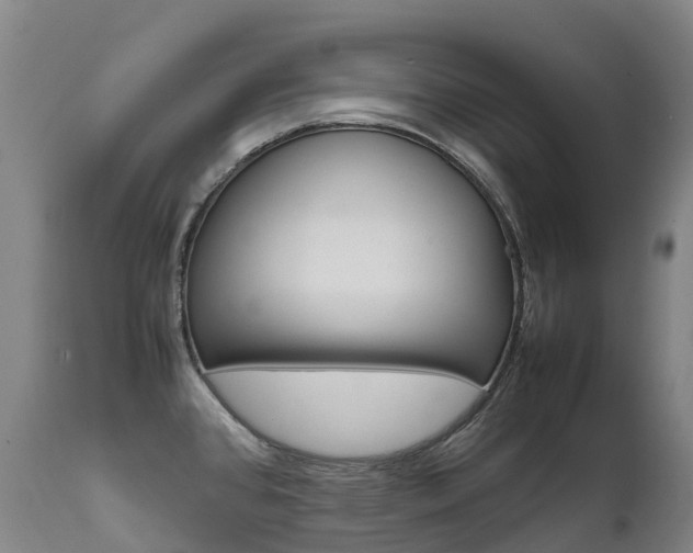 X0000111631384200907171118