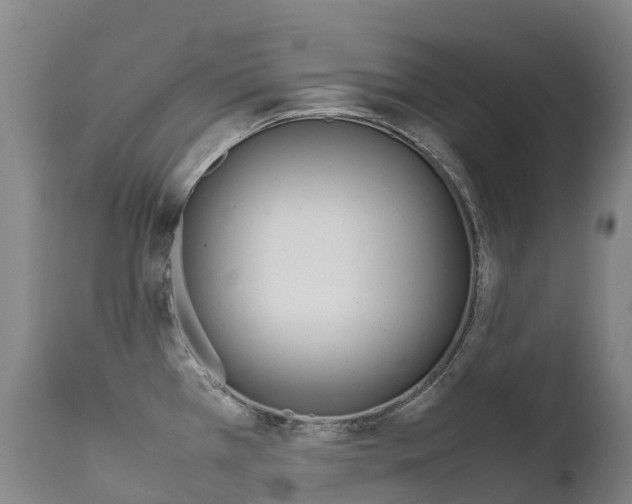 X0000111631385200907171118