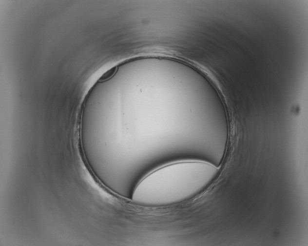 X0000111631387200907171118