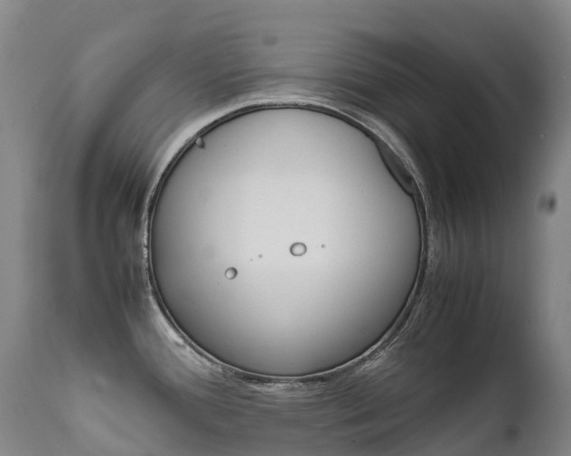 X0000111631388200907171118