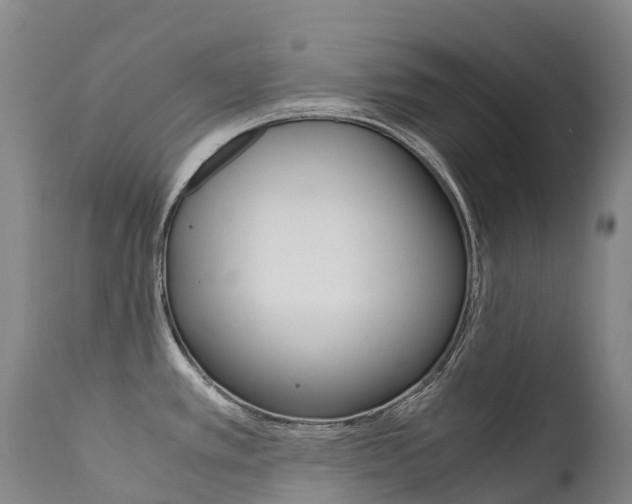 X0000111631389200907171118