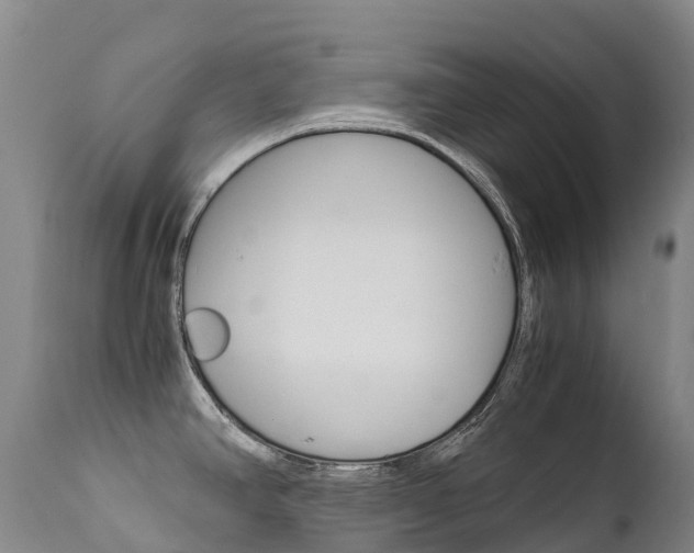 X0000111631390200907171118