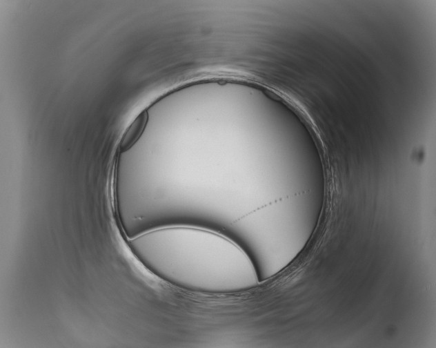 X0000111631391200907171118