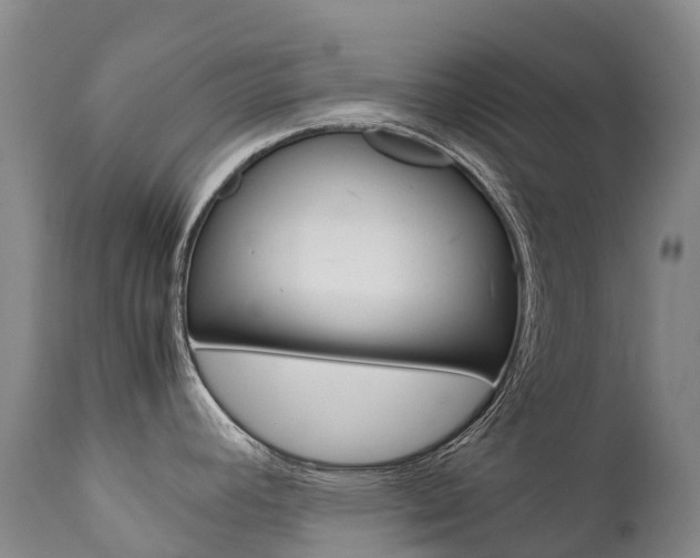 X0000111631392200907171118