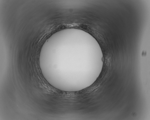 X0000111631393200907171117