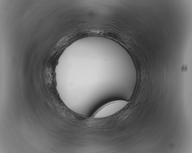 X0000111631394200907171117