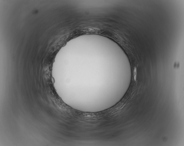 X0000111631395200907171117
