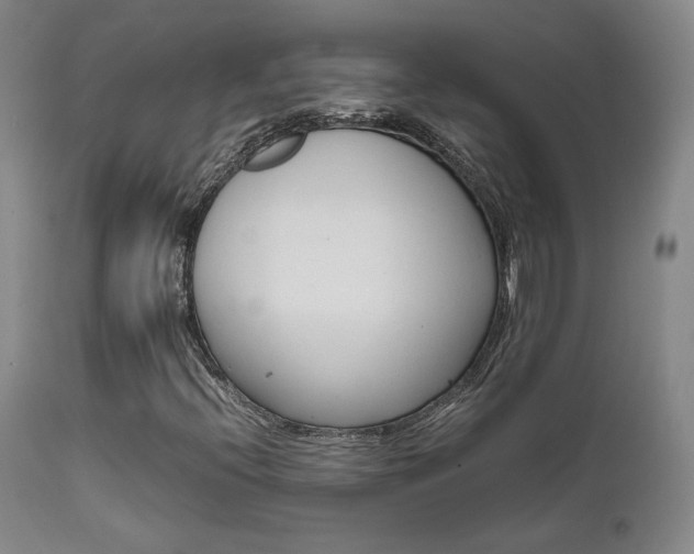 X0000111631396200907171117