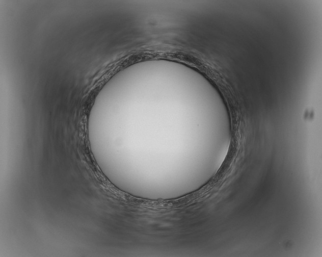 X0000111631397200907171117