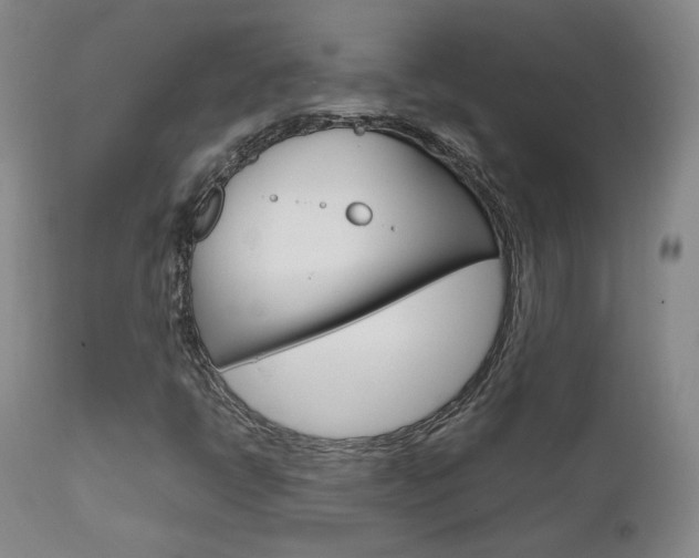 X0000111631398200907171117