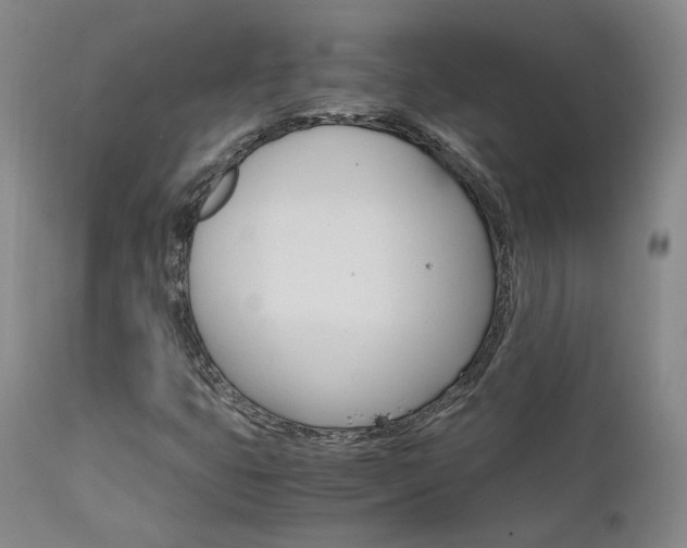 X0000111631399200907171117