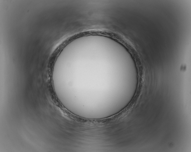 X0000111631400200907171117