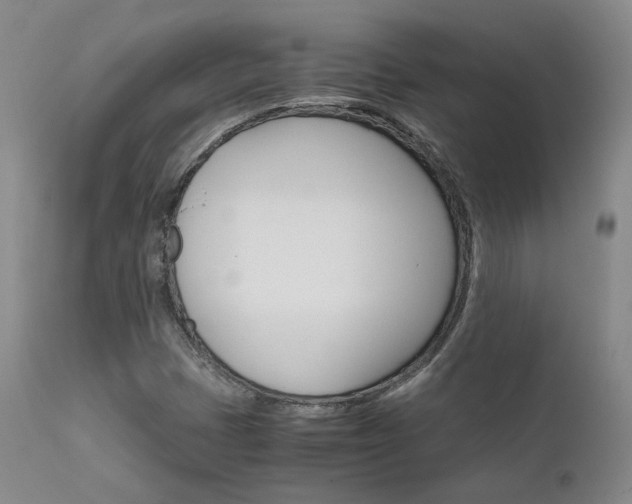 X0000111631401200907171117