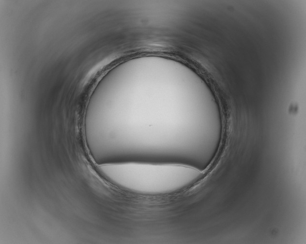 X0000111631402200907171117