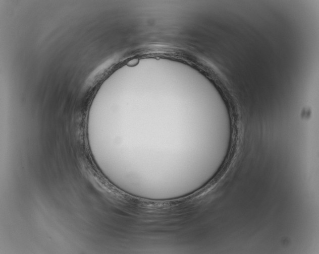 X0000111631403200907171117