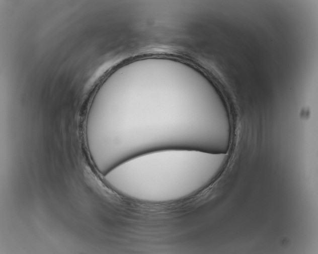 X0000111631404200907171117