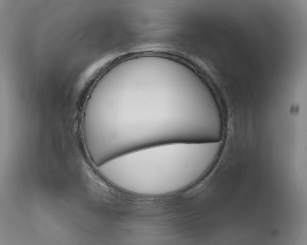 X0000111631406200907171117