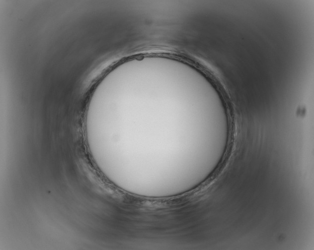 X0000111631407200907171117