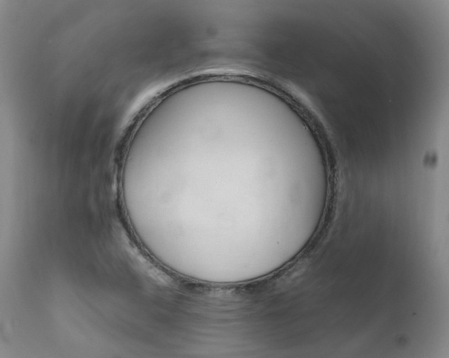 X0000111631408200907171118