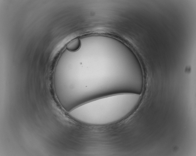X0000111631410200907171118