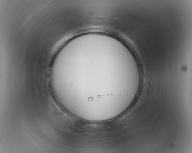 X0000111631411200907171118